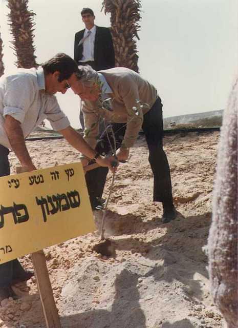 peres3.jpg
