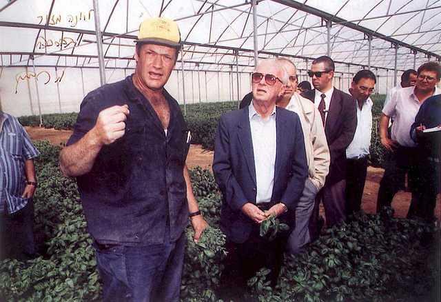יצחק רבין - ראש הממשלה בחממת התבלינים של יונה מזור מעין-יהב. לידו שר החקלאות - יעקב צור.
11.3.1993