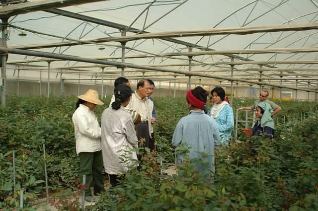מנכ"ל משרד החקלאות של מיאנמר ומנהל המחלקה לפתוח הכפר בעידן 26/01/2005