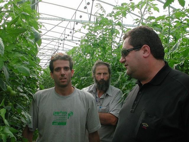 ישראל כץ - שר החקלאות  בחממת העגבניות של אסף בוקס מעידן. לידו יורם צביאלי - מדריך ירקות. 18.11.2003