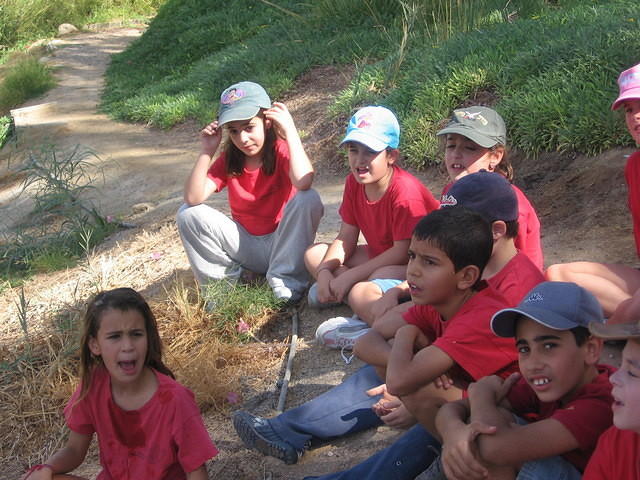 תזונה נכונה עם שרון דרשר