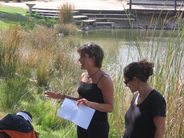 תזונה נכונה עם שרון דרשר