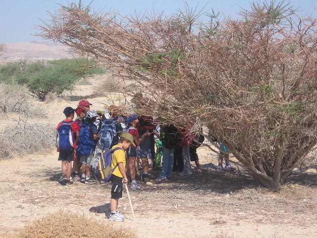 טיול ג', חאפלה, צועדים בשביל בית ספר 027