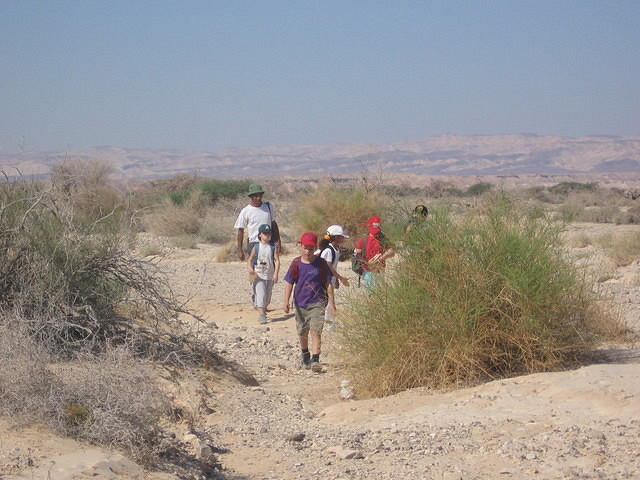 טיול ג', חאפלה, צועדים בשביל בית ספר 031