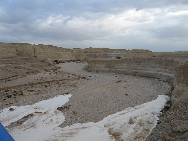 סוף ינואר 2007 027