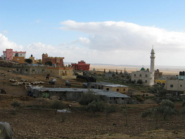 סוף ינואר 2007 067