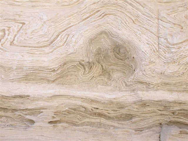 צילום - שולה אוטיקר