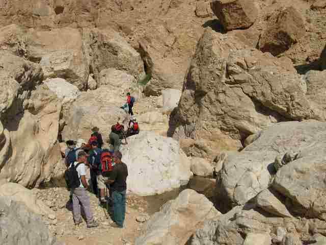 Aנחל צאלים 7-11-06 062