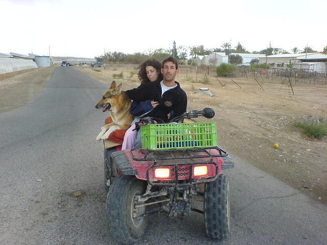 יש שכלואים ויש שמטיילים.. צילם: גידי קליין 1.4.06