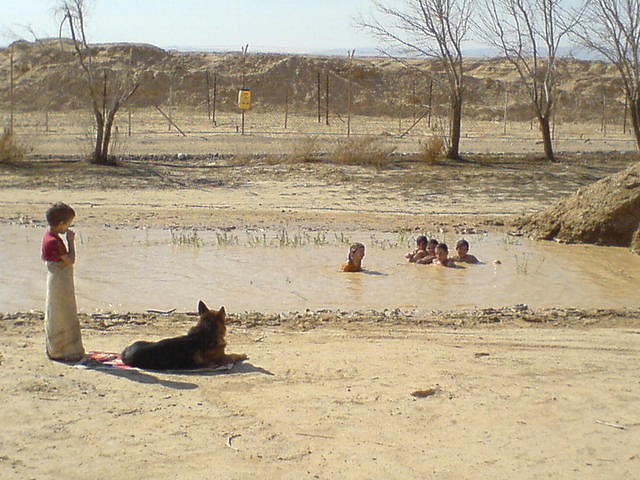 הזדמנות בלתי חוזרת...