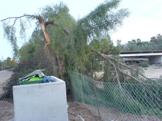 מסתירים את הזבל צילום: גידי קליין 6.4.06