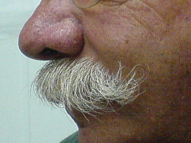 רק שפם! צילום גידי קליין 18.4.06