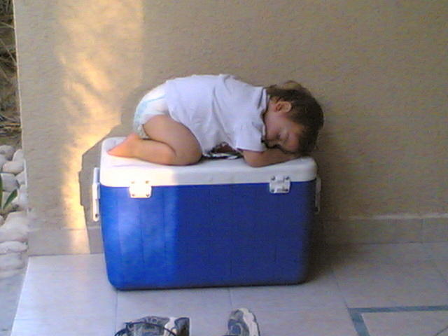 ***התמונה הזוכה לחודש נובמבר***
צילם: שגיא קליין