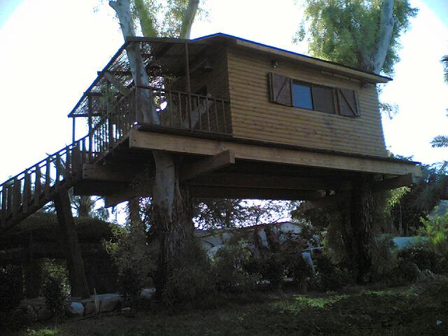 בית עץ צילם: דודו אלקיים