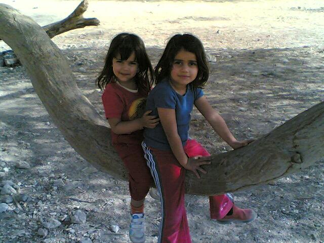 שתינו יחד.. צילום: ג'ודית אברהם