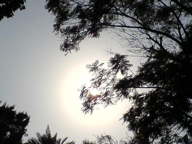 מבט לצמרת צילם: גידי קליין