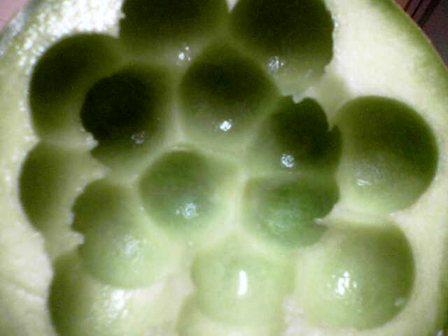 מה זה? רמז: קשור לעונה... צילום: אורית אביבי