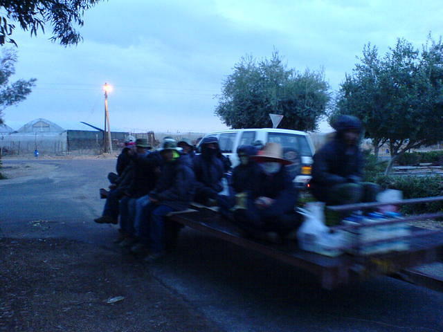 על העגלה צילום גידי קליין