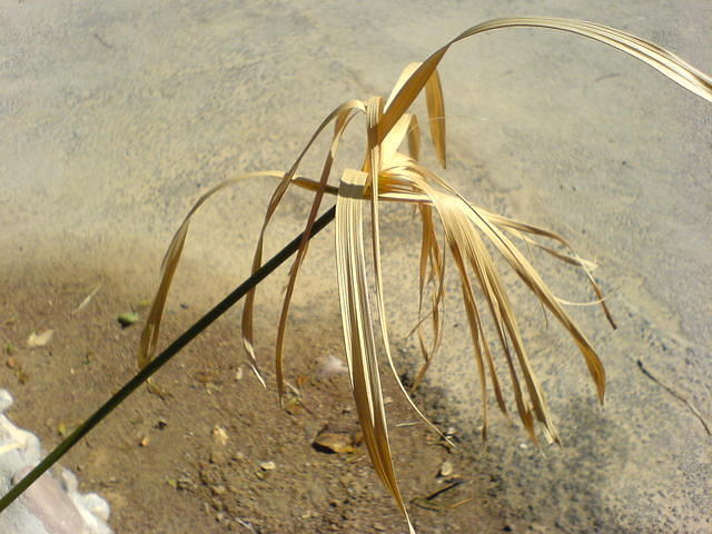 טבע דומם 3 צילום: גידי קליין