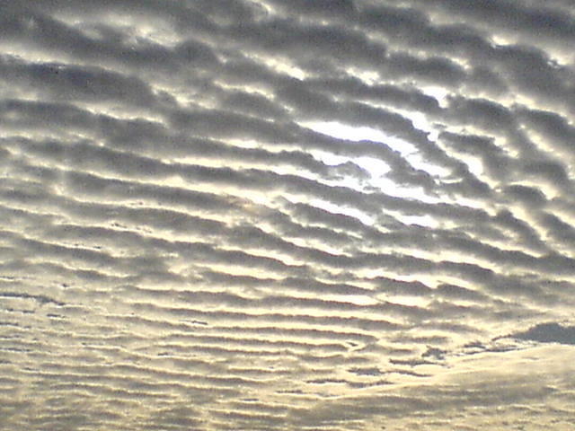 עדיין חורף צילום: גידי קליין