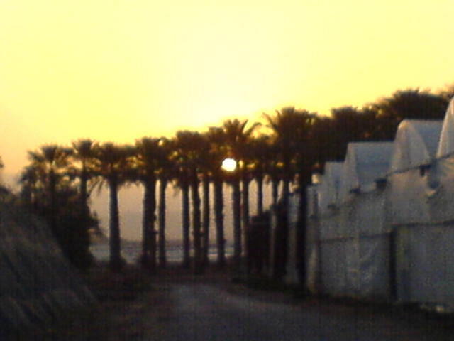 התחלה של יום חדש צילום: גידי קליין