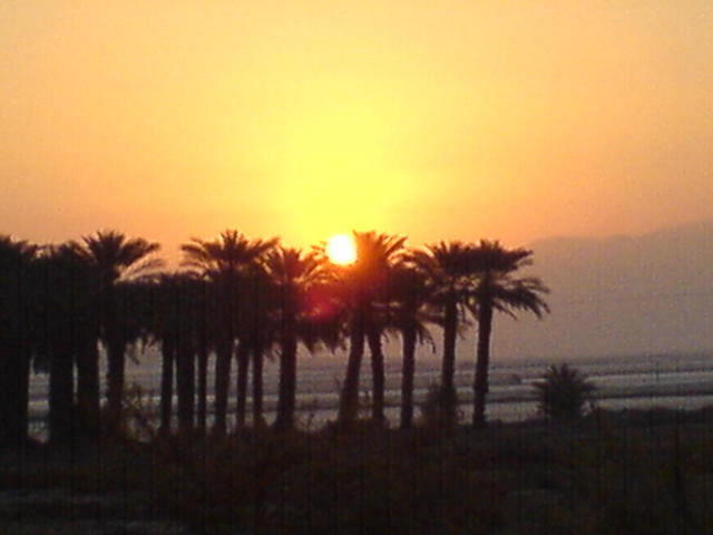 יום חדש 2 צילום: גידי קליין