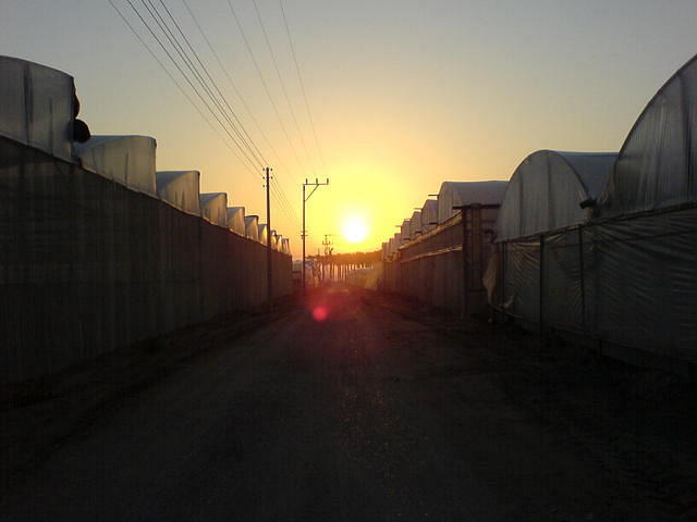 יום חדש 3 צילום: גידי קליין