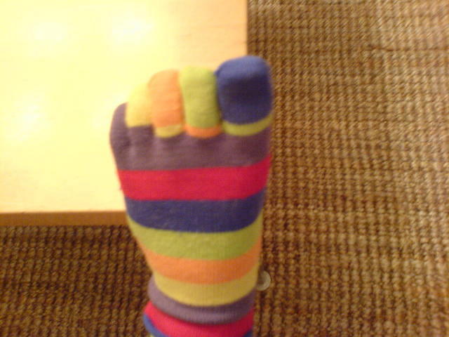 עליה לרגל צילום: גידי קליין