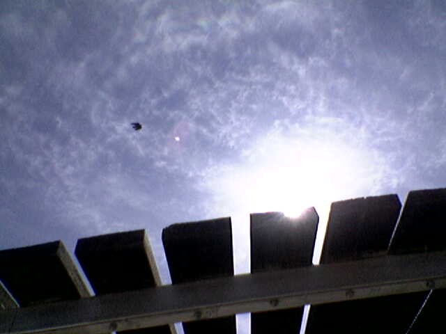 שמי מצדה צילום: דין טננבאום