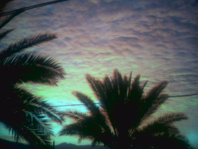 זריחה ב-6 בבוקר במושב פארן צילום:צאלה צורף