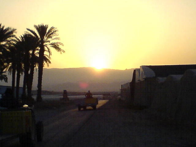 זריחה בתמרים בעין יהב