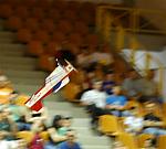 חשמלים באולם הספורט  בספיר