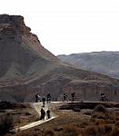 צעדה 200845 (Small)