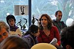 limmud2011 353.jpg
