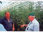 שר החקלאות רפאל איתן בביקורו בערבה 
בחממת העגבניות של משפחת רייס בעין-יהב- 1996