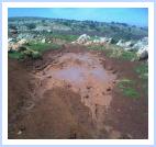 טיול בערבה בחורף. צילם: צביקה יזרעאלי