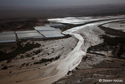 IMG_2930 copy.jpg (122.64 KiB) נצפה 14561 פעמים IMG_2930 copy.jpg