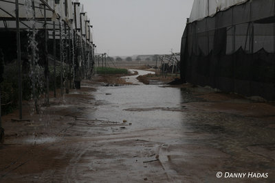 IMG_2412 copy.jpg (219.65 KiB) נצפה 13588 פעמים IMG_2412 copy.jpg