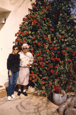 גבריאלה ונחמה ברלבן בפתח משפ בר לבן בעין יהב.jpg (150.63 KiB) נצפה 3514 פעמים גבריאלה ונחמה ברלבן בפתח משפ בר לבן בעין יהב.jpg