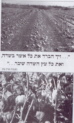 1988.jpg (1.92 MiB) נצפה 310095 פעמים 1988.jpg