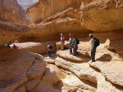 ____%20______%20______%20______%20014.jpg (82.94 KiB) נצפה 71373 פעמים ____%20______%20______%20______%20014.jpg